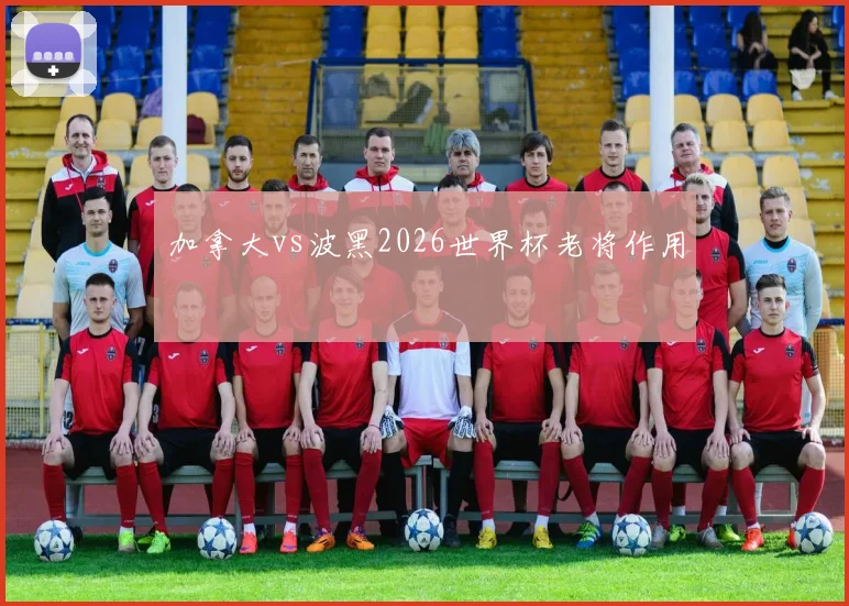 加拿大vs波黑2026世界杯老将作用