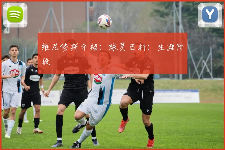 维尼修斯介绍：球员百科：生涯阶段