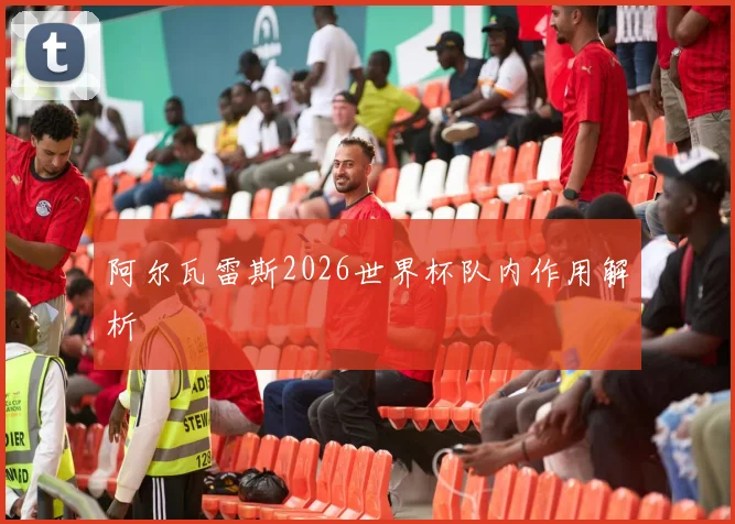 阿尔瓦雷斯2026世界杯队内作用解析