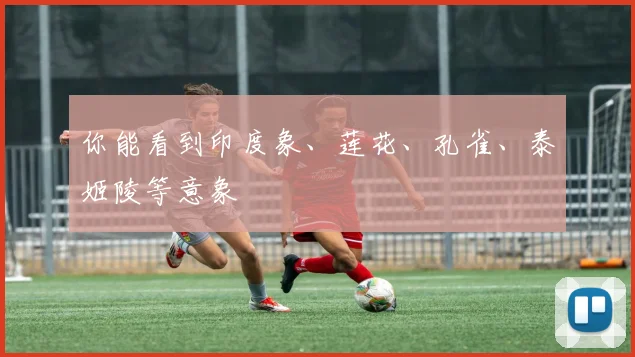 你能看到印度象、莲花、孔雀、泰姬陵等意象