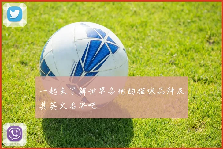 一起来了解世界各地的猫咪品种及其英文名字吧