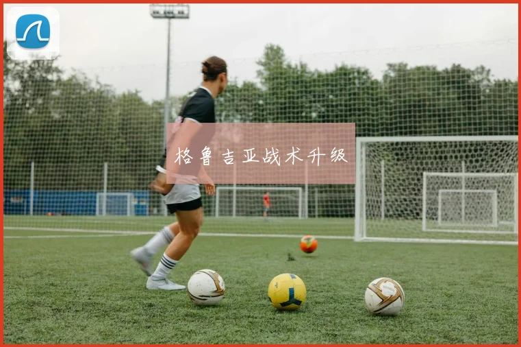 格鲁吉亚战术升级