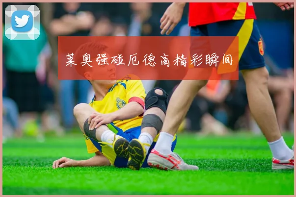 莱奥强碰厄德高精彩瞬间