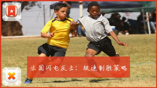 法国闪电反击：极速制胜策略