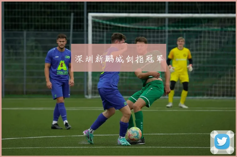 深圳新鹏城剑指冠军