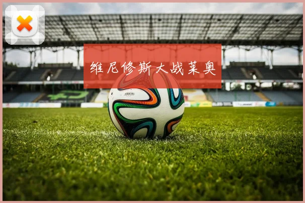 维尼修斯大战莱奥