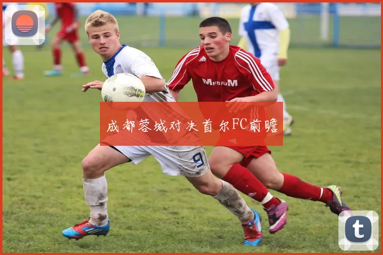 成都蓉城对决首尔FC前瞻