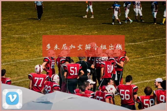 多米尼加女排小组出线