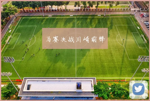 马赛决战川崎前锋