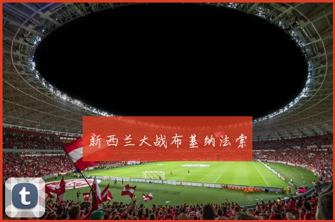 新西兰大战布基纳法索