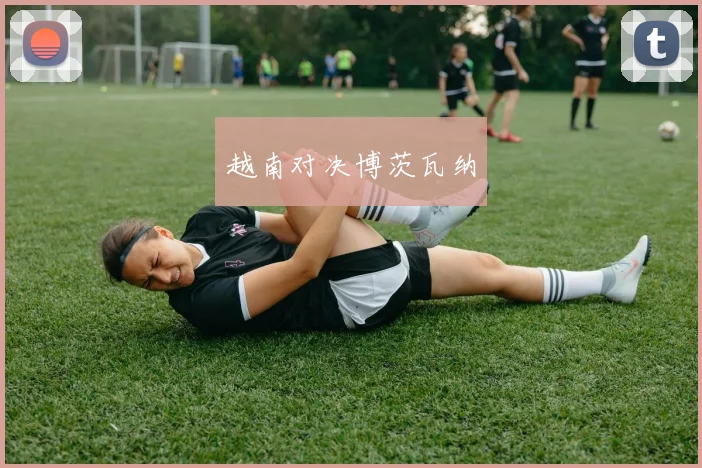 越南对决博茨瓦纳