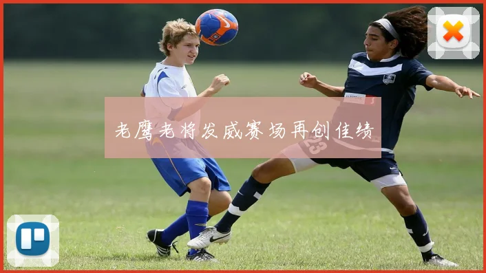 老鹰老将发威赛场再创佳绩