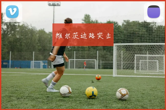 维尔茨边路突击