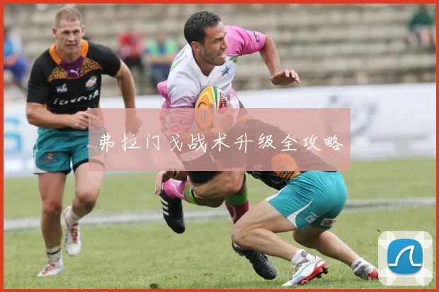 弗拉门戈战术升级全攻略