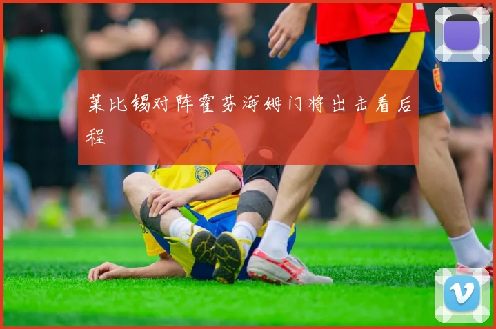莱比锡对阵霍芬海姆门将出击看后程